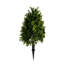 Topiaire 14 "en faux buis