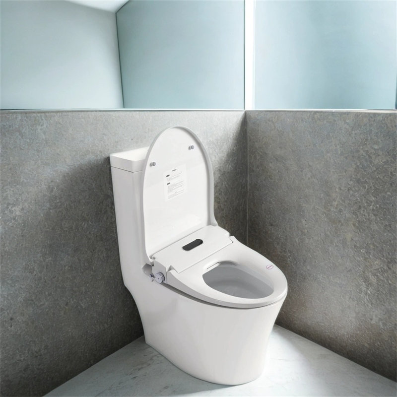 [smart Bidet Toilet Seat With Side Knob]adjustable Heated Seat | Water Temp/pressure Control | Auto Nozzle Cleaning & Night Light | Portable Only Seat​