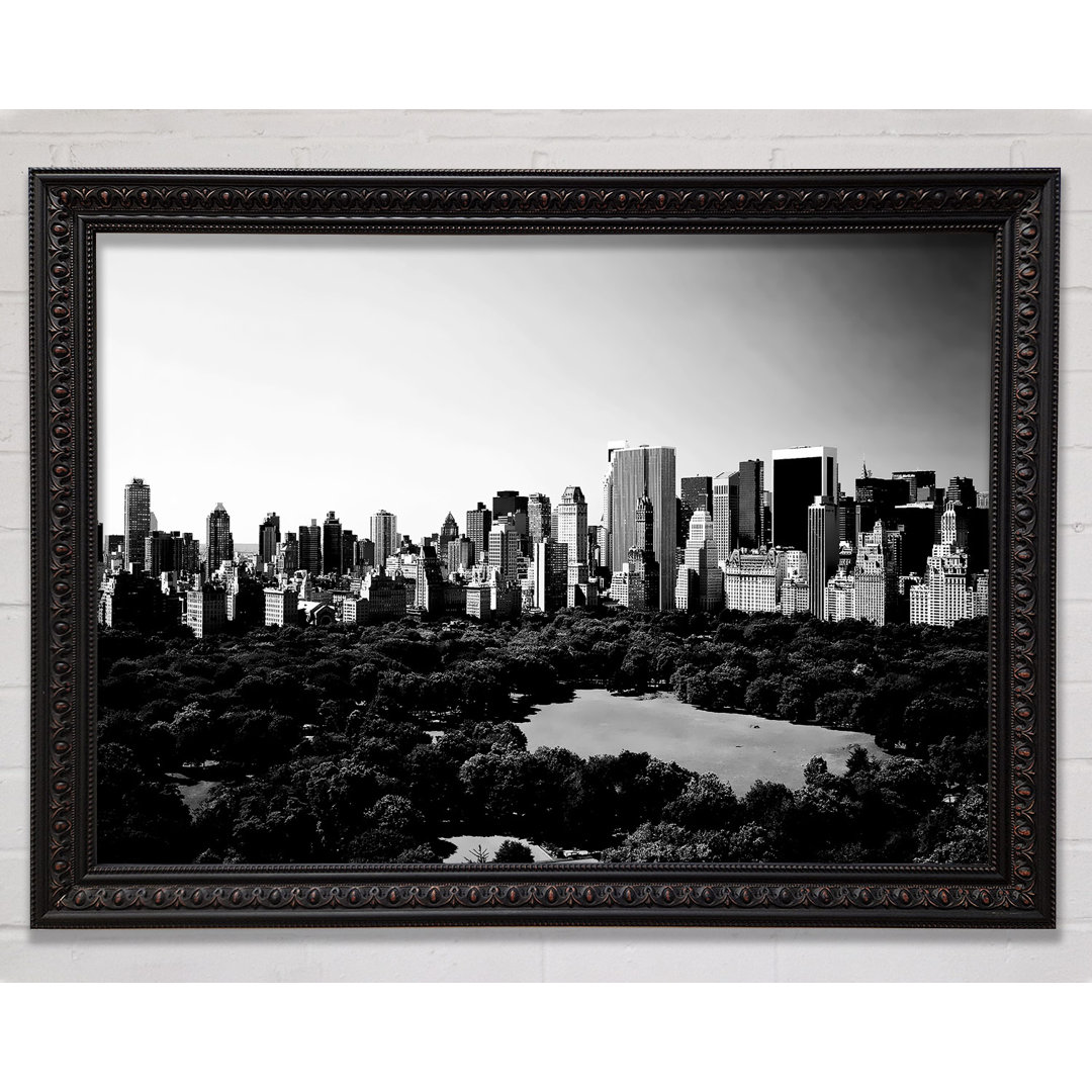 New York City Central Park von oben B N W - Druck