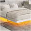 Lit flottant avec lumières DEL en dessous, lit plateforme moderne à profil bas avec lumières DEL-276899414-276899417