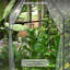 Brieya 3 Ft W x 3 Ft D Mini Greenhouse