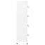 Armoire de rangement Locker Cabinet-126259209