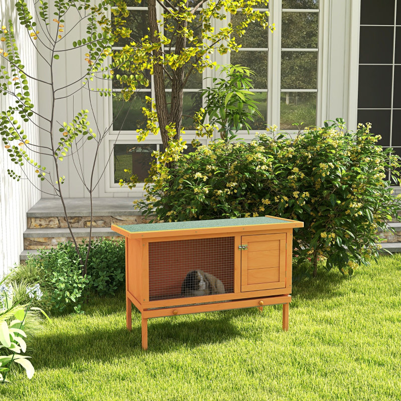 Small Animal Hutch