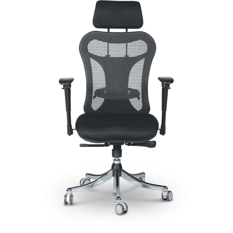 Black Mesh High Back Executive Office Chair with Adjustable Arms