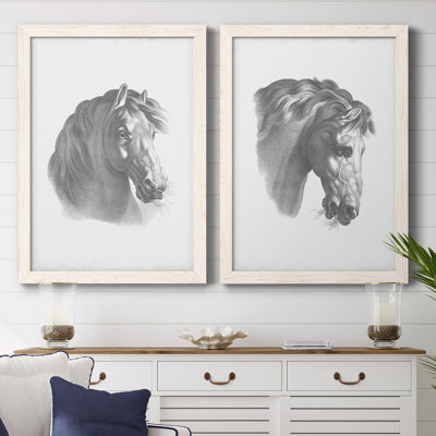 " Equestrian Blueprint II " 2 - Pieces Painting Print