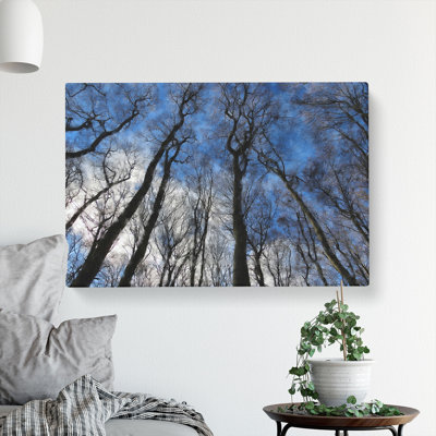 Beautiful Forest - Wrapped Canvas