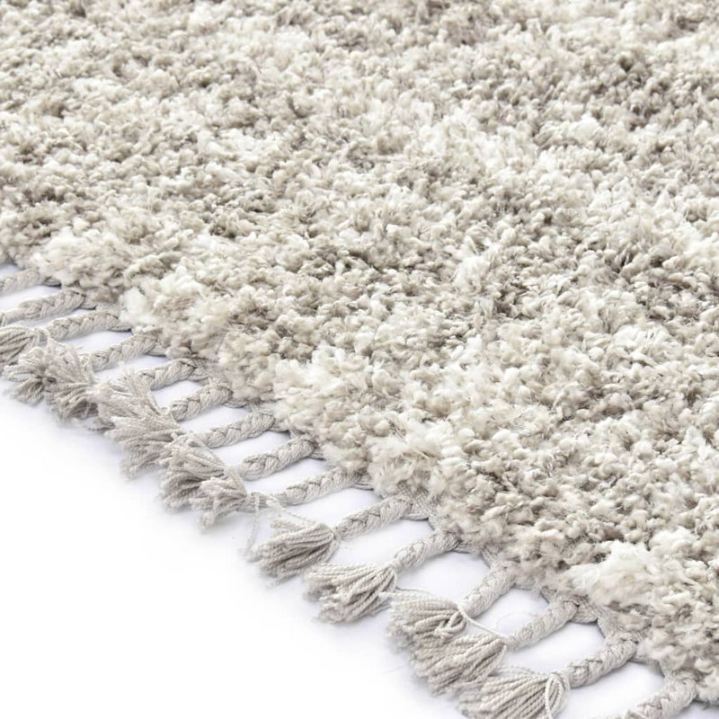 Garofalo Shag Area Rug, Rectangle 160 x 230cm