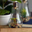 Ensemble de terrarium en verre 2 pièces Edison