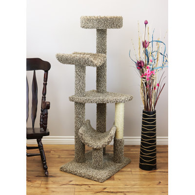 Shawn 60'' H Cat Tree