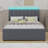 Upholstered Platform Bed With Trundle-1275679584