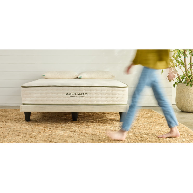 Avocado Foundation, Queen