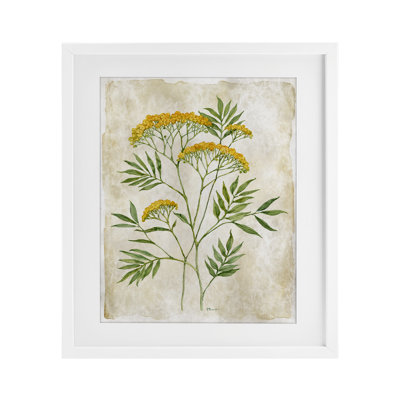 «Vintage Flower Journal», reproduction encadrée sous verre, conception de Paul Brent