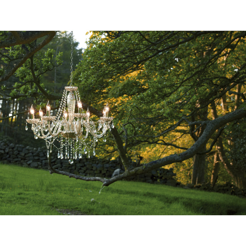 Macdougall 8 - Light Candle Style Chandelier
