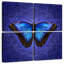 Brampt papillon Morpho bleu brillant-109143128