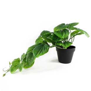 35cm Faux Plant in Pot Liner
