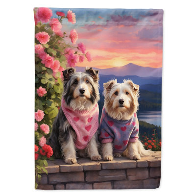 Double Sided 40'' H x 28'' W Polyester Valentine's Day House Flag