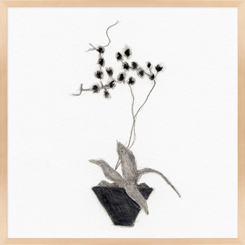 Orchid Study 2 Print by Simon Schneiderman, 16" H x 16" W x 1.25" D, Maple Wood