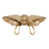 Natural Brass selected