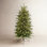 Fraser Lighted Artificial Christmas Tree