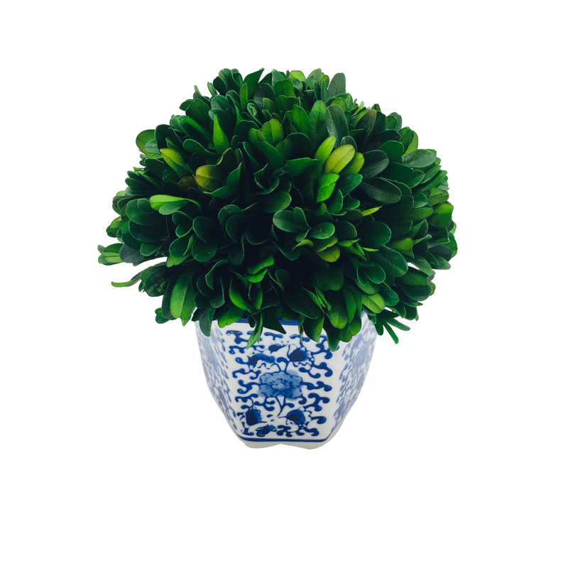Boule de buis avec pot bleu et blanc, H 7,09 po x l 5,59 po x P 5,9 po