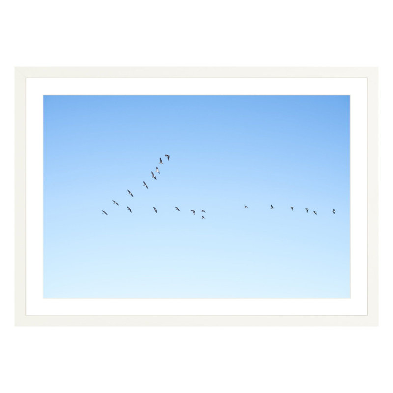 Flying V by Amanda Anderson, White, 28" H x 42" W x 2.25" D