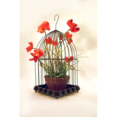 Cage à oiseau avec crochet Wild Rose