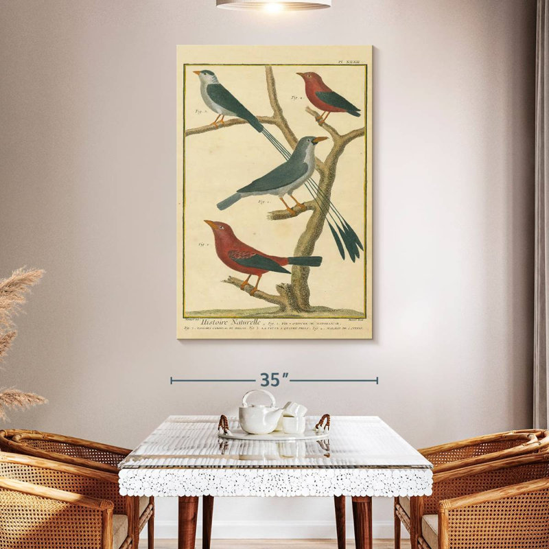 Brampt Bird Drawing I, 51" H x 34" W