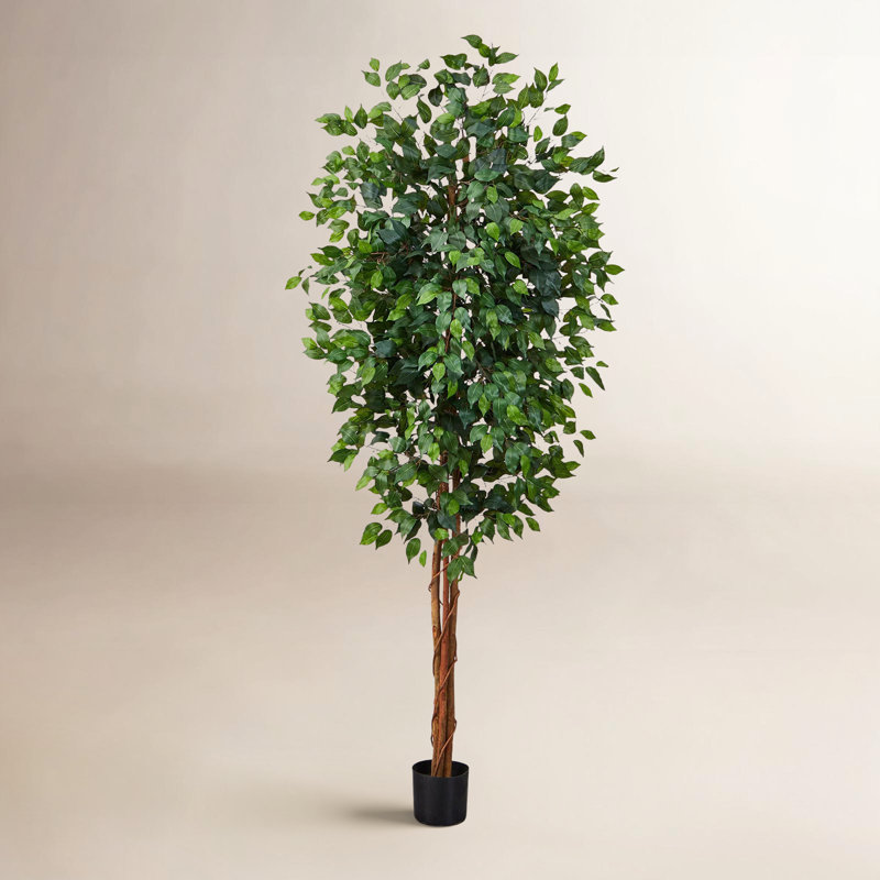 Faux Ficus Tree in Planter, 84" H x 36" W x 36" D