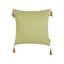 Lenny Green Square Throw Cushion