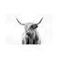 Bairdstown Portrait Of A Highland Cow by Dorit Fuhg - Print on Canvas-69052724-56675868