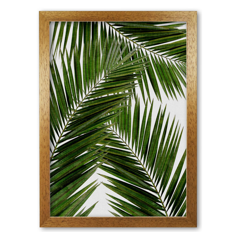 Palm Leaf III - Print, 84.1cm H x 59.4cm W x 4cm D, Wrapped Canvas