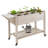 Fregoso Wood Raised Garden Bed-94239262