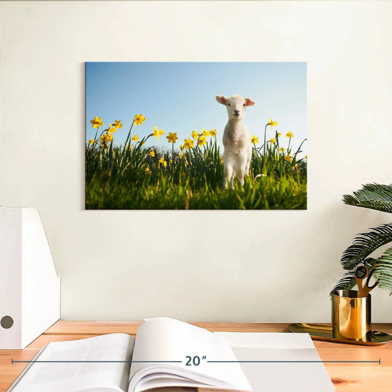 Brampt Springtime Lamb, 8" H x 12" W