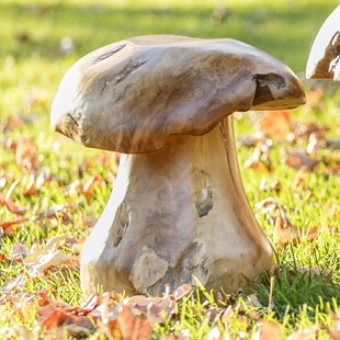 Habini Teak Wild Mushrooms