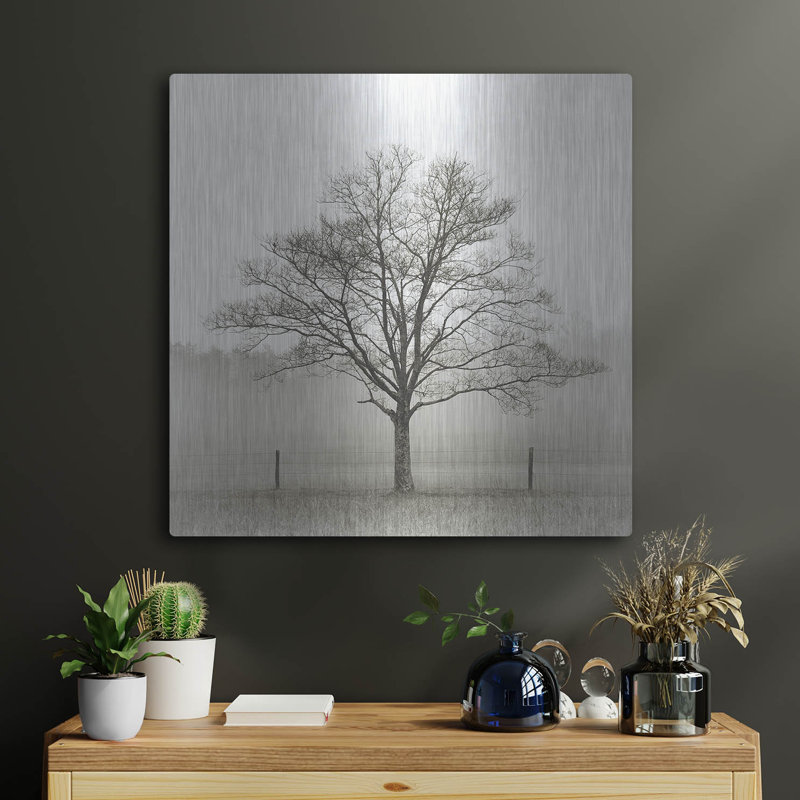 «Winter Tree, Cades Cove» par Nicholas Bell, photographie, H 24 po x l 24 po