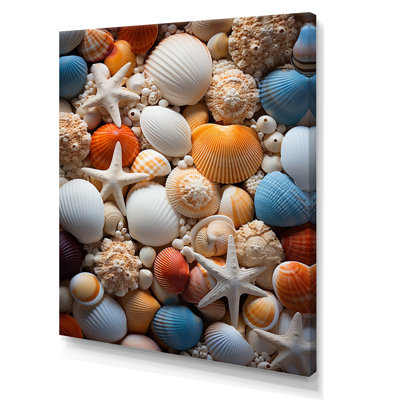 «Beach Photo Seashell Symphony VI», reproductions sur toile d'animaux