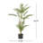 ARTIFICIAL PALM TREE-783048428