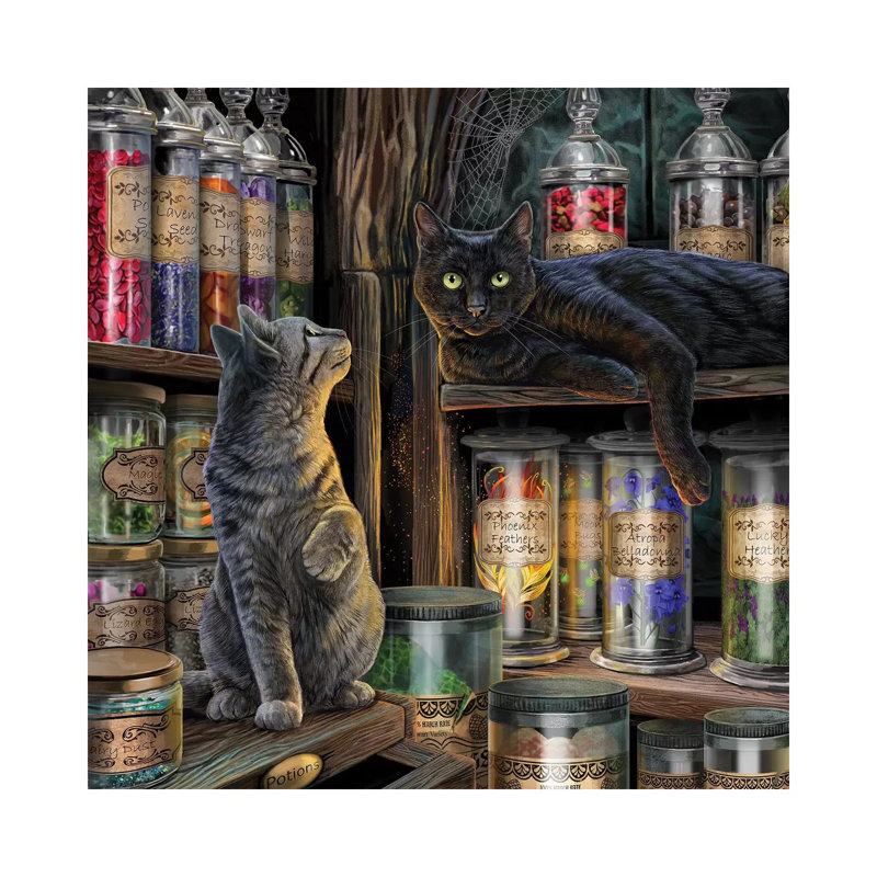 «Magical Emporium» par Lisa Parker - impression d'art graphique, Pas de tapis, H 26 po x l 26 po x P 1,5 po, Toile tendue