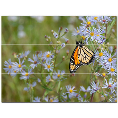 Butterfly Photo 4.25'' x 4.25'' Satin Ceramic Decorative Mural