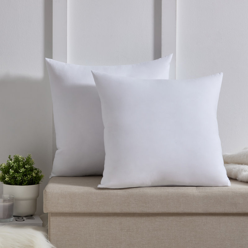 White Polyester 22" x 22" Pillow Inserts, 2-Pack