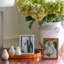 Lacquer Decorative Tray-861528461-861528457