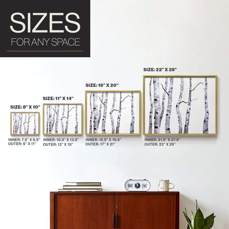 Birch Trees I -Framed Print - Restickable, 11" H x 14" W