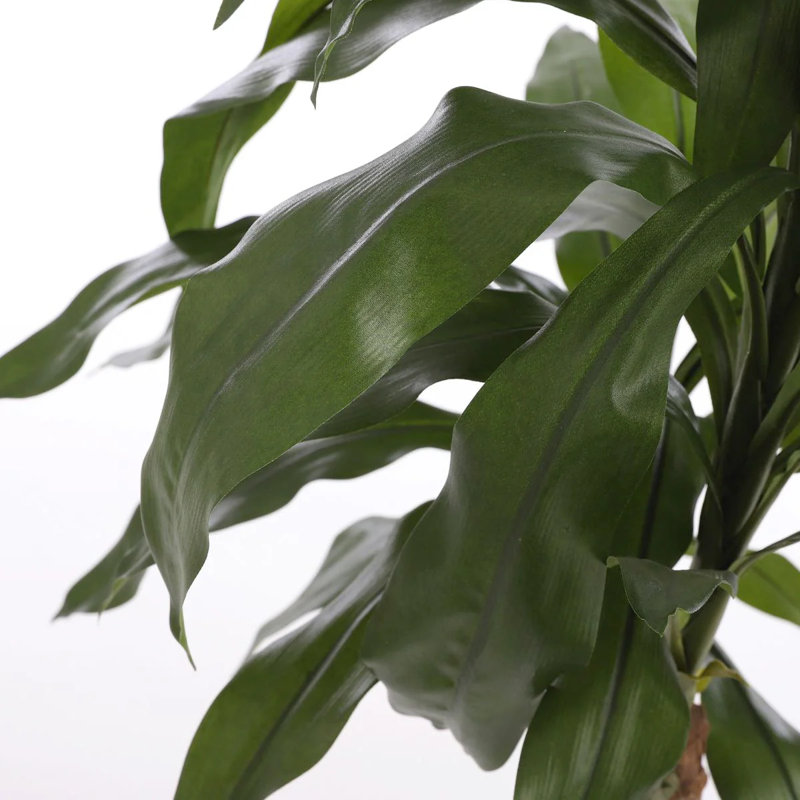 100cm Faux Dracaena Tree in Pot