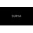 Becki Owens x Livabliss Sammy Hand Woven Area Rug-89211506