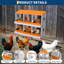 Chicken Coop-247709167-247709153