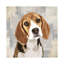 Beagle 1 Piece Wrapped Canvas Wall Art-42160240