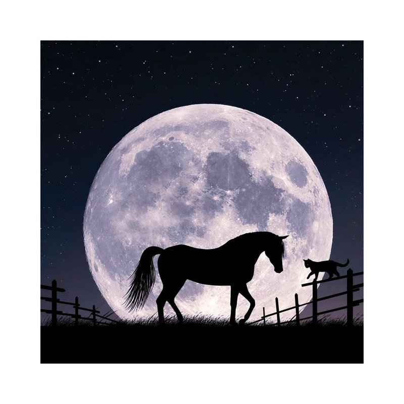 Horse And Moon by Abdullah Evindar - Wrapped Canvas Print, 30.48 cm H x 30.48 cm W