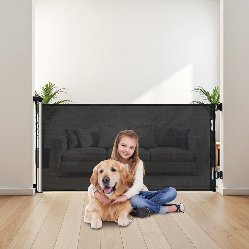 Barrière pour chien rétractable, Noir, H 34,2 po x l 77,9 po x P 2,4 po