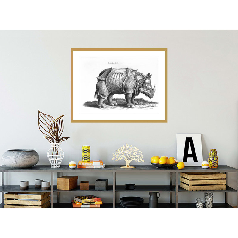 «Rhinoceros no 76» par «historique animal» par Conrad Gesner (1516-65) par Albrecht Dürer, impression giclée encadrée