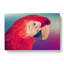 Geometric Scarlet Macaw Parrot in Abstract - Wrapped Canvas-55317390